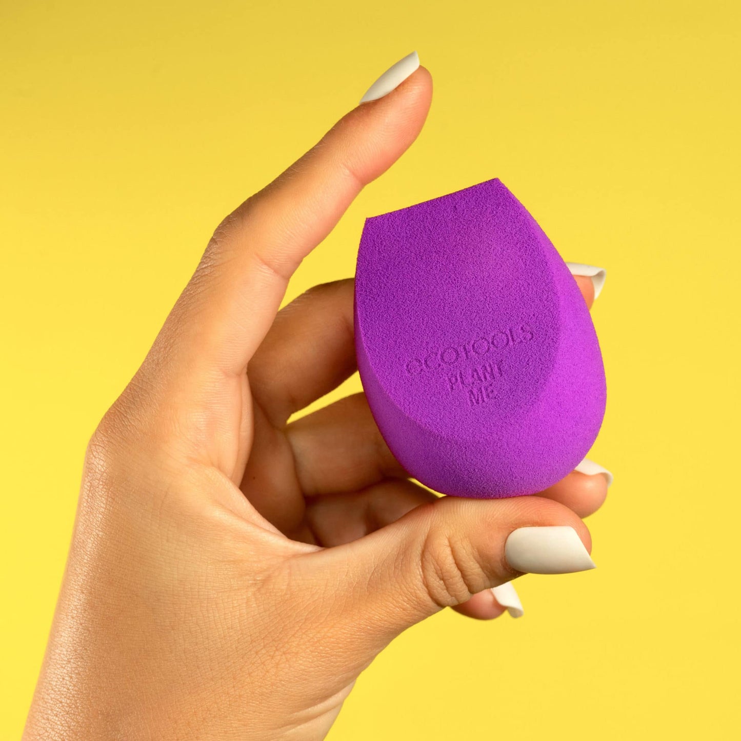 Ecotools Bioblender Sponge