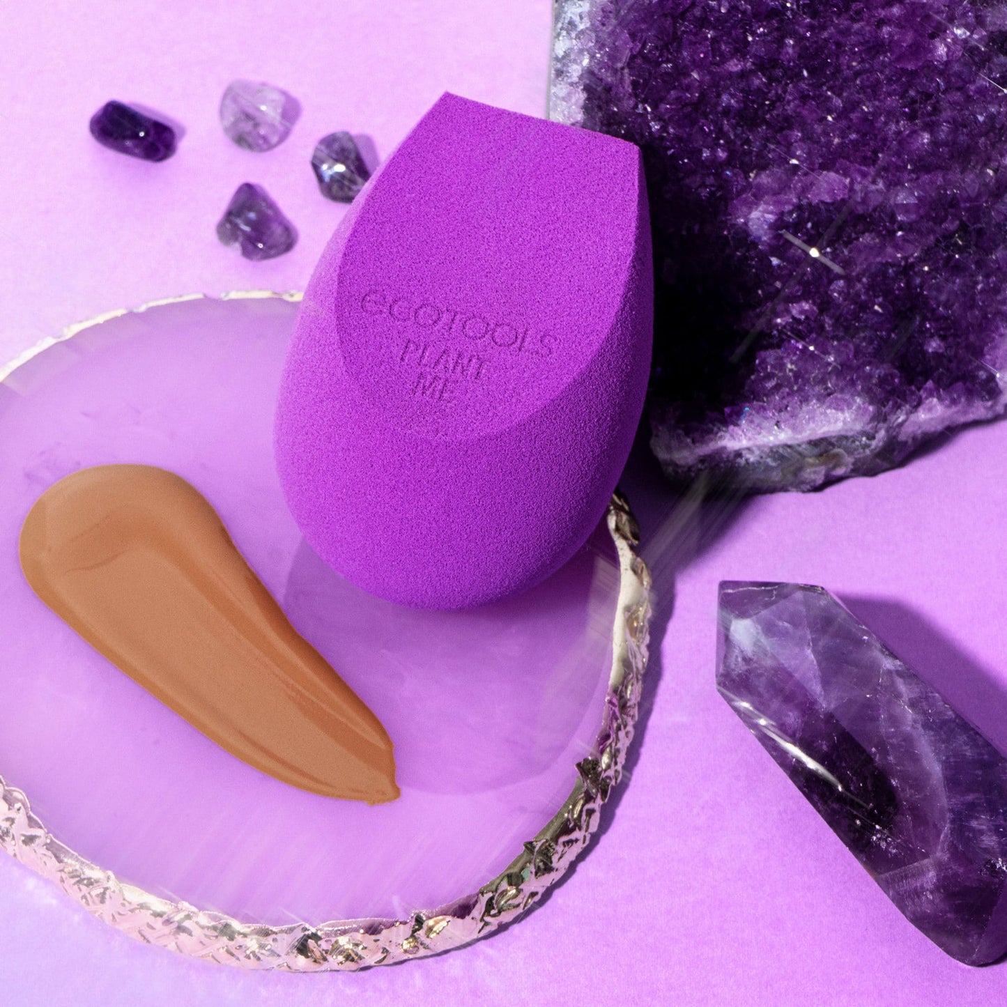 Ecotools Bioblender Sponge