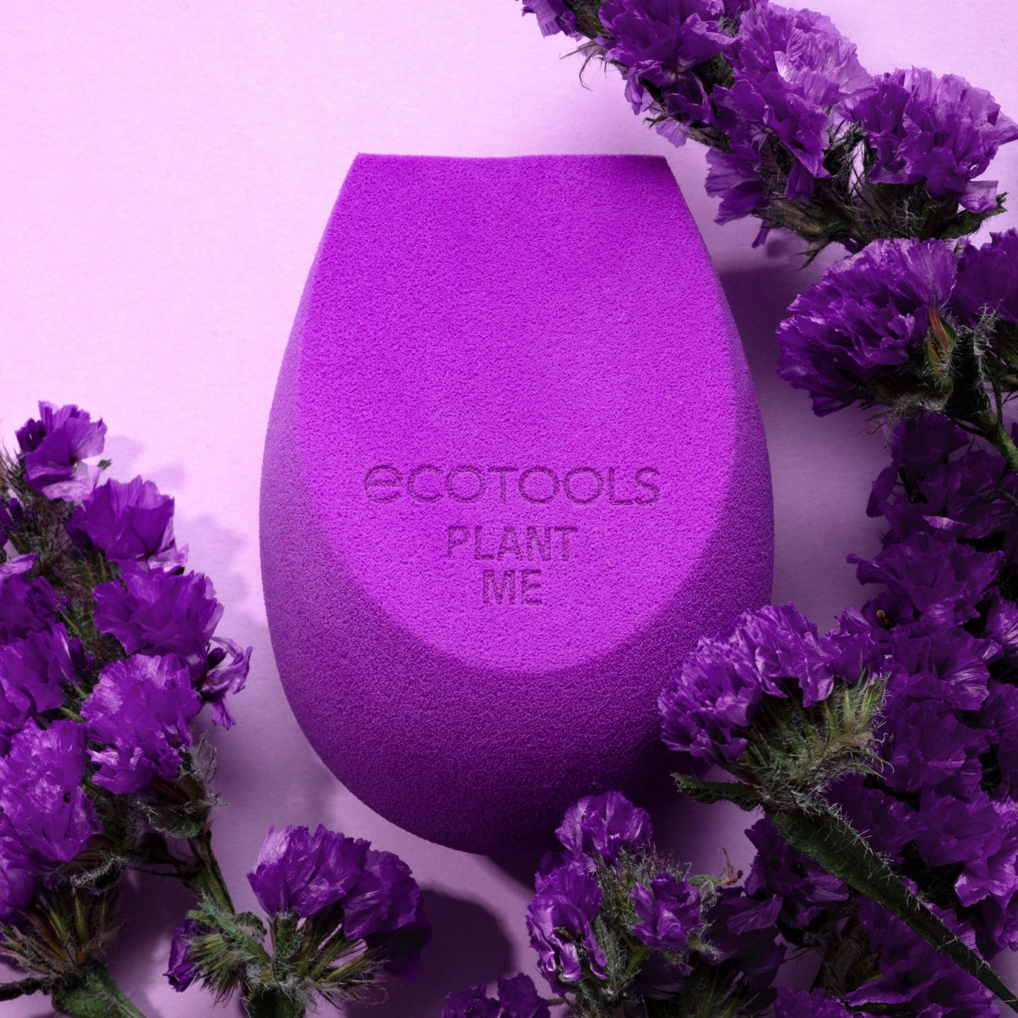 Ecotools Bioblender Sponge