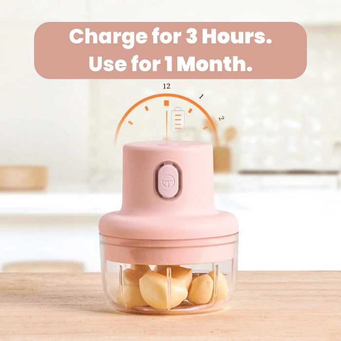 Instant Electric Food Grinder - Medaid International