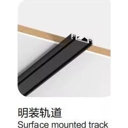 Track Light 1m