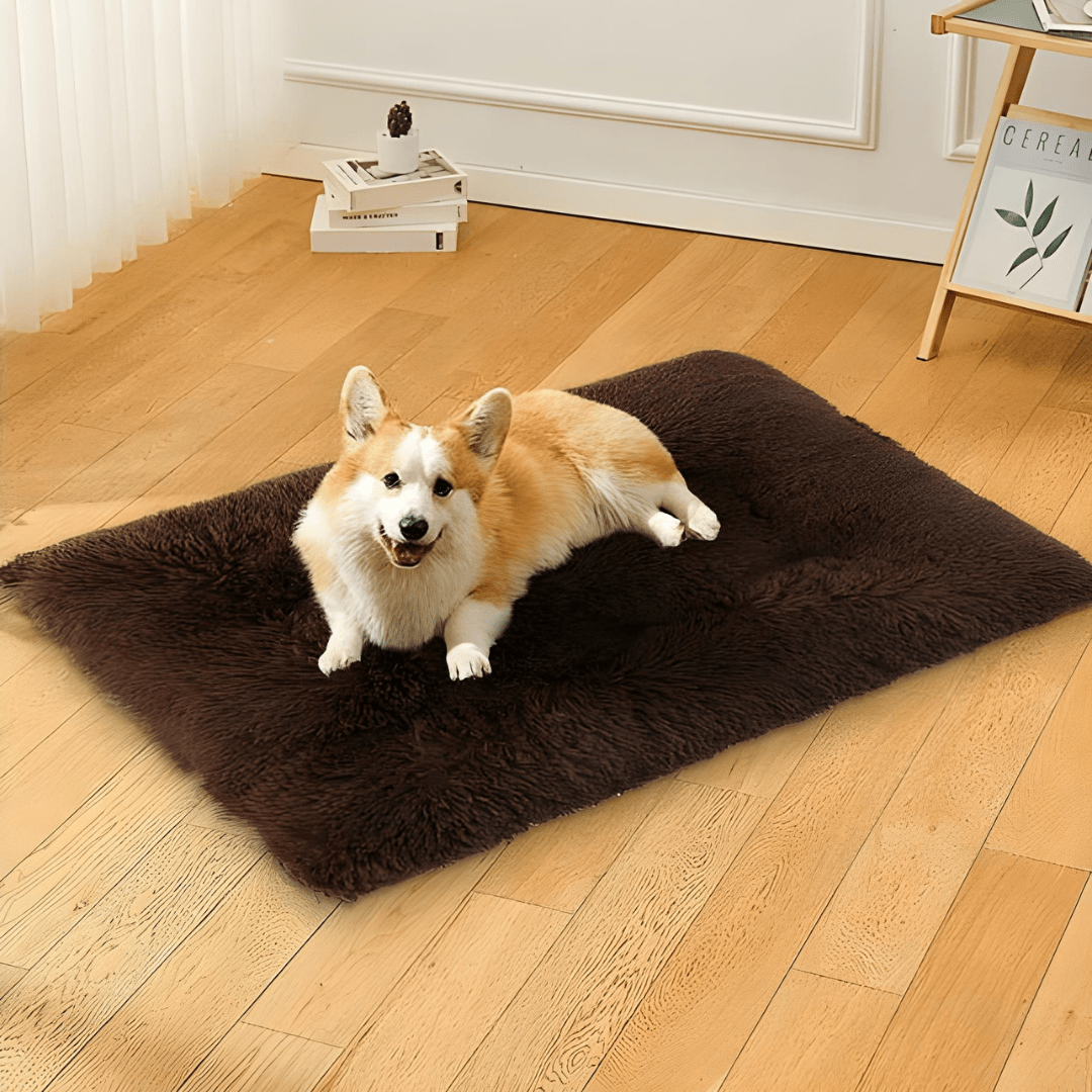 Fluffy Faux Fur Pet Bed – 100×70cm – For Medium Dogs & Cats