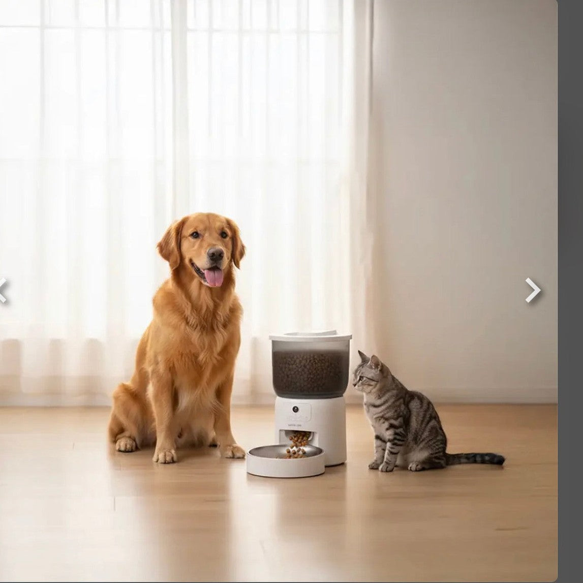 Green Lion Smart Pet Feeder with Stainless Steel Bowl - white