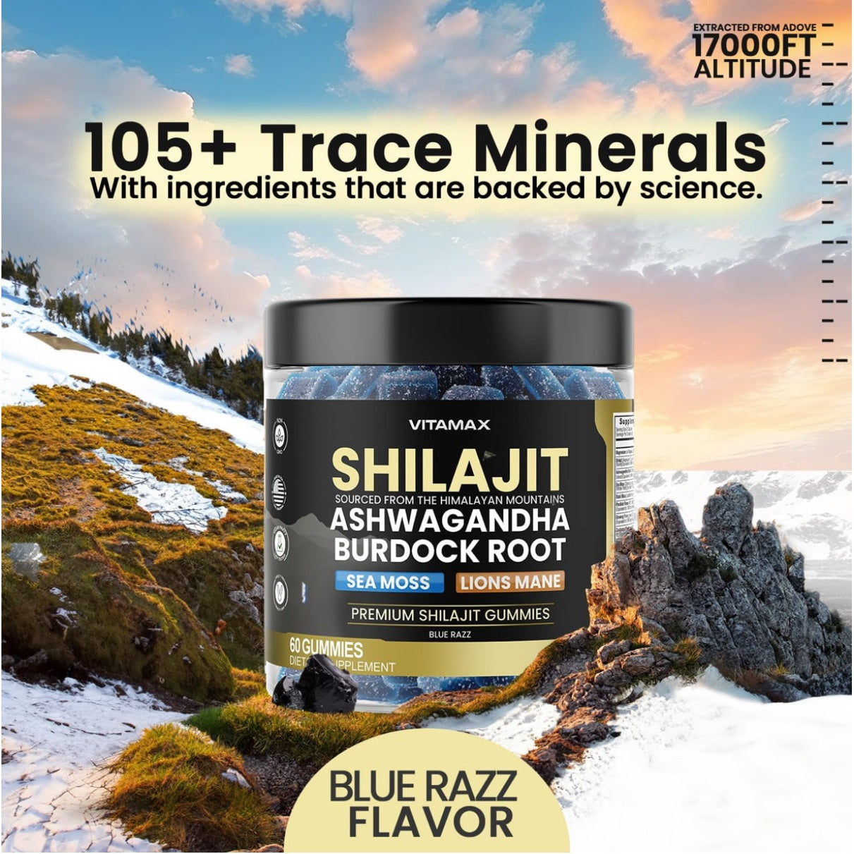 Organic Shilajit Gummies, Sea Moss, Ashwagandha, 105+ Trace Minerals – Organic Burdock Root & Lions Mane Mushroom - Blue Razz – Vegan & Non-GMO – Made in USA – 60ct - Medaid International