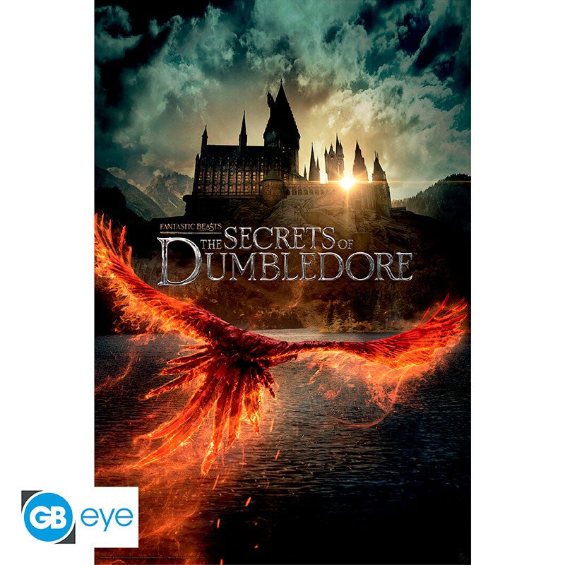 FANTASTIC BEASTS - Poster Movie Poster (91.5x61) - Medaid International