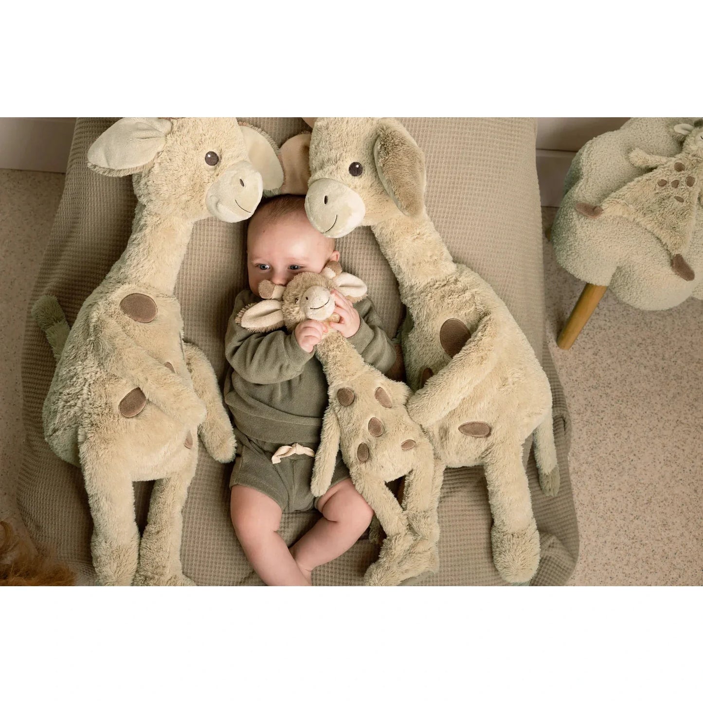 Happy horse giraffe gus