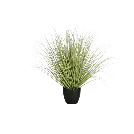 Grass Green in Plastic Pot – Height 68 cm
