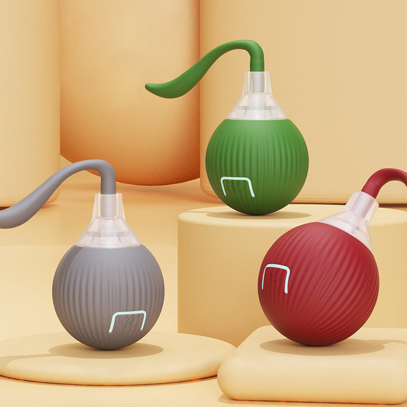 Pet Smart Ball Chasing Toy