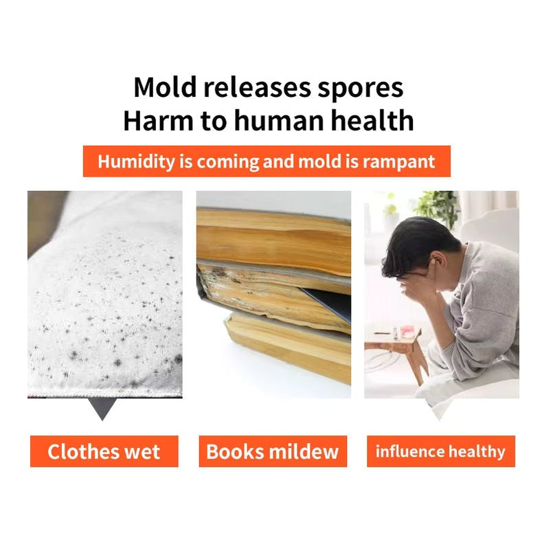 Closet Moisture Absorber