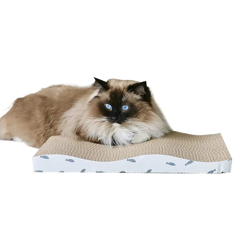 Cat Scratch Pads - Medaid International
