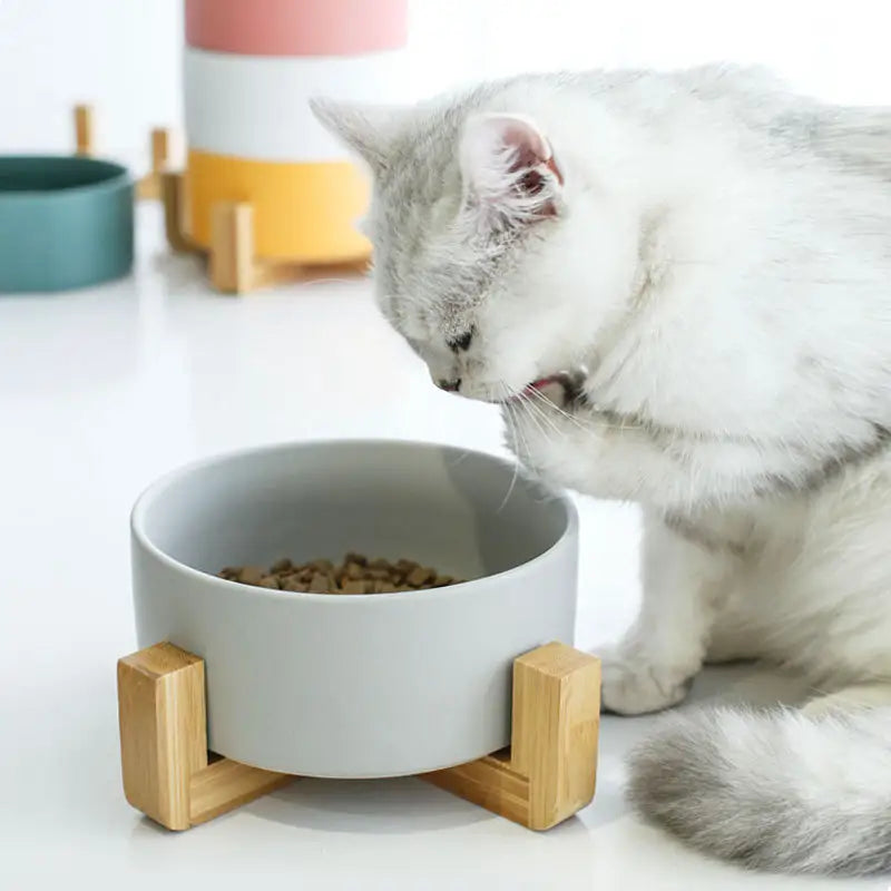 Ceramic Cat Dishes with Bamboo Stand - Medaid International