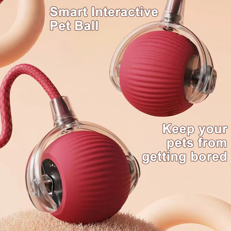 Pet Smart Ball Chasing Toy