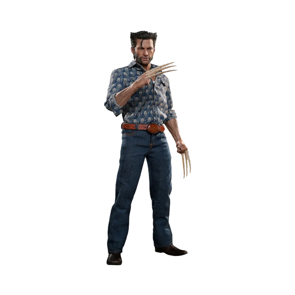 Marvel Wolverine (1973 Version) 1/6 Scale Action Figure By Hot Toys - Medaid International