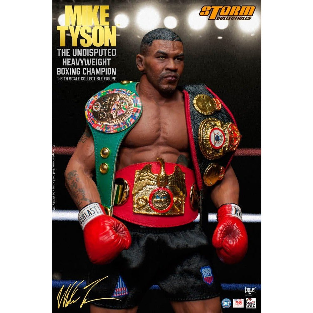 MIKE TYSON 1/6 Scale Action Figure By Hot Toys - Medaid International