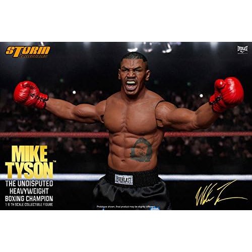 MIKE TYSON 1/6 Scale Action Figure By Hot Toys - Medaid International