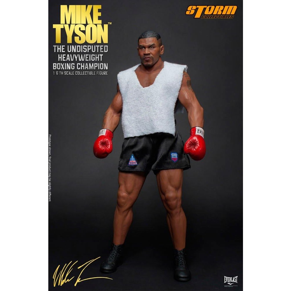 MIKE TYSON 1/6 Scale Action Figure By Hot Toys - Medaid International