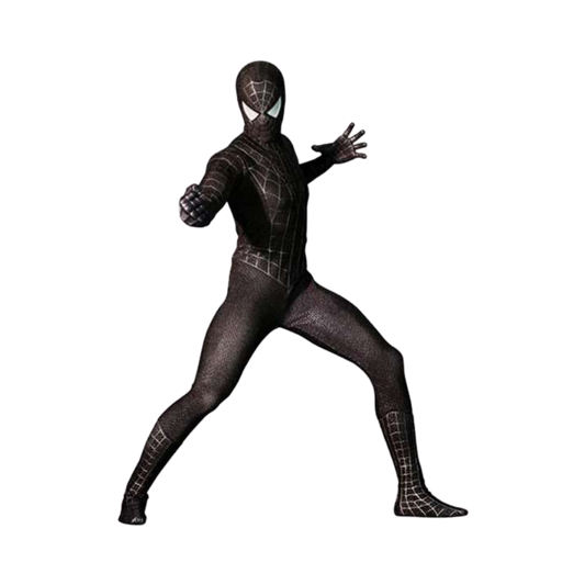 Marvel Spider Man Black Suit Version 1/6 Scale By Hot Toys - Medaid International