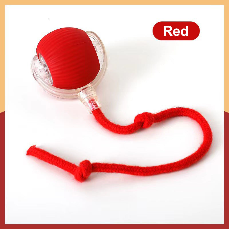 Pet Smart Ball Chasing Toy