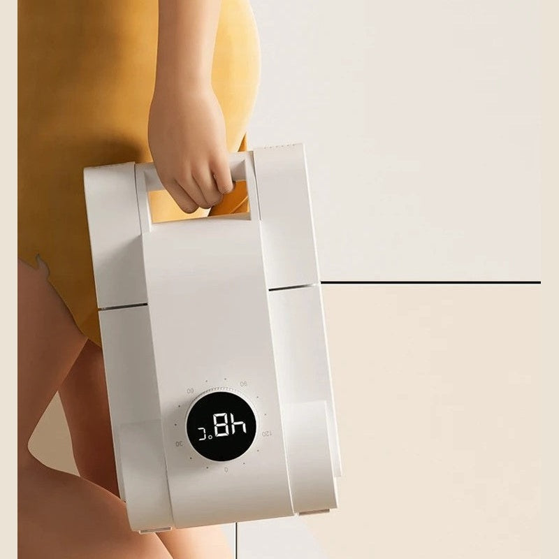 Electric Shoes Sanitizer
