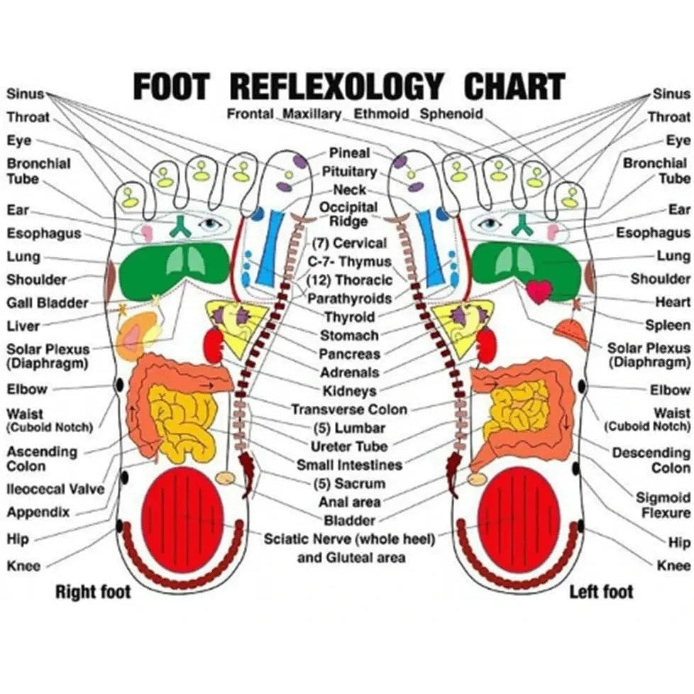 Reflexology Socks and Massage Stick Set