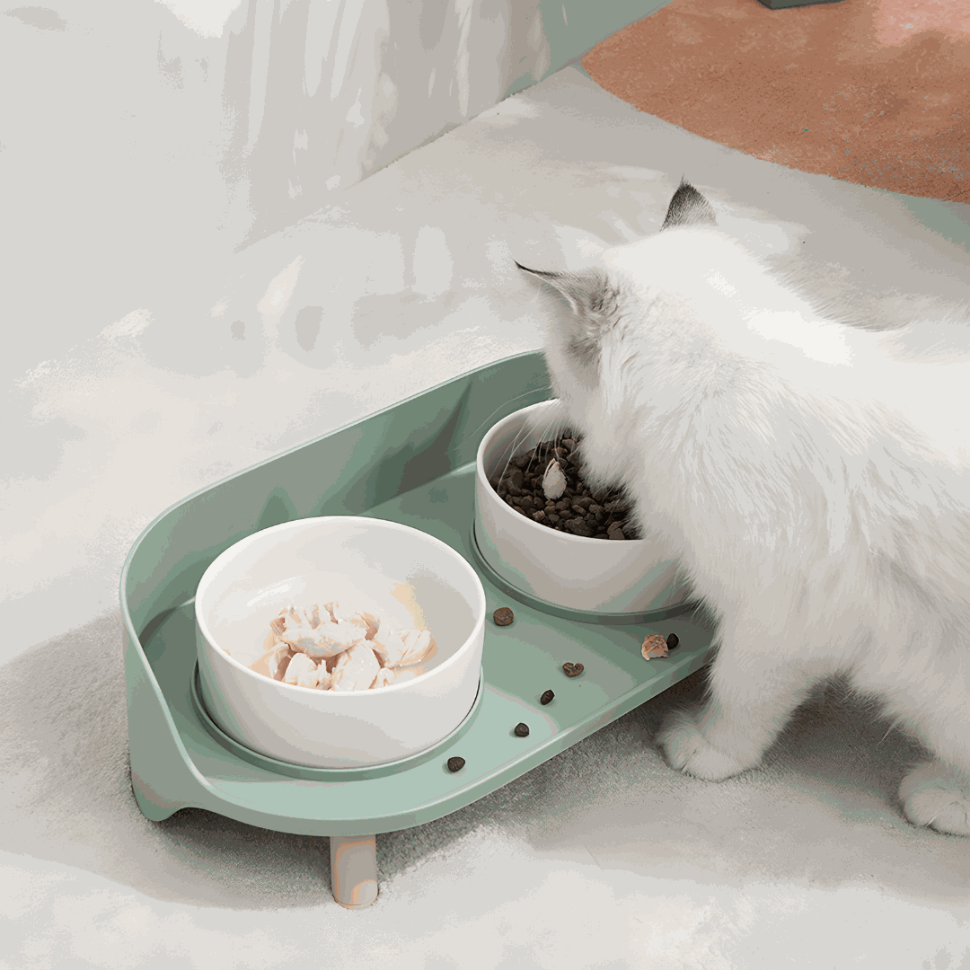 Anti-Spill Elevated Pet Bowl Feeder
