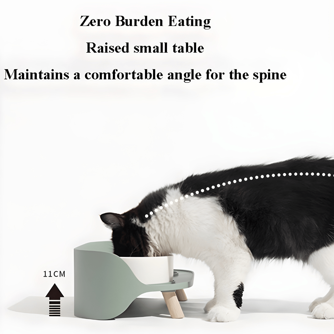 Anti-Spill Elevated Pet Bowl Feeder