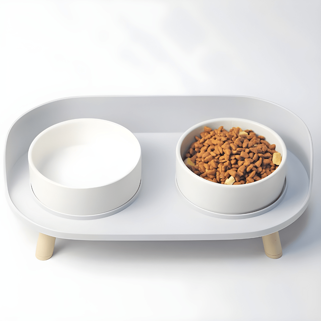 Anti-Spill Elevated Pet Bowl Feeder