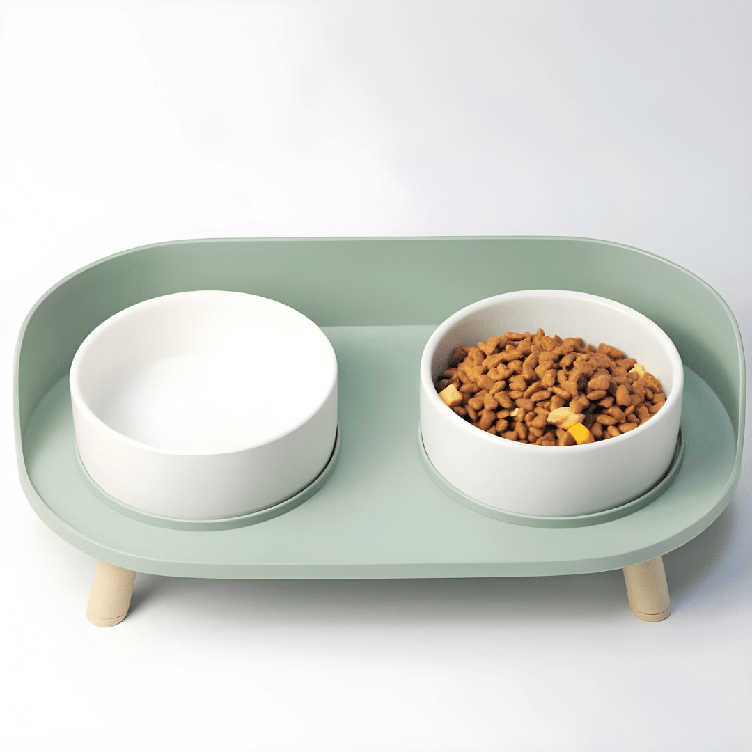 Anti-Spill Elevated Pet Bowl Feeder