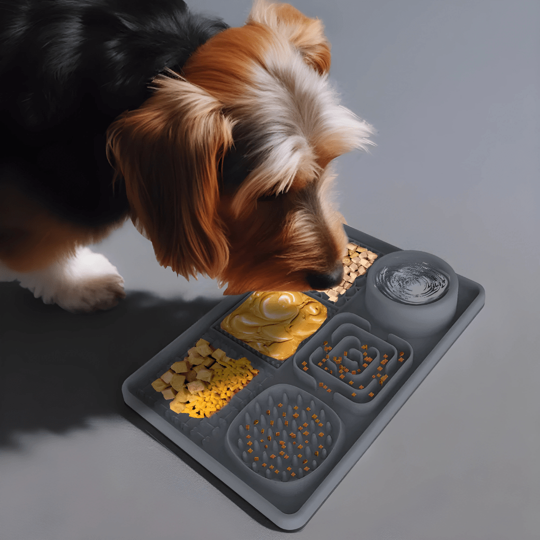 6-in-1 Silicone Slow Feeder & Lick Mat with Bowl for Dogs & Cats