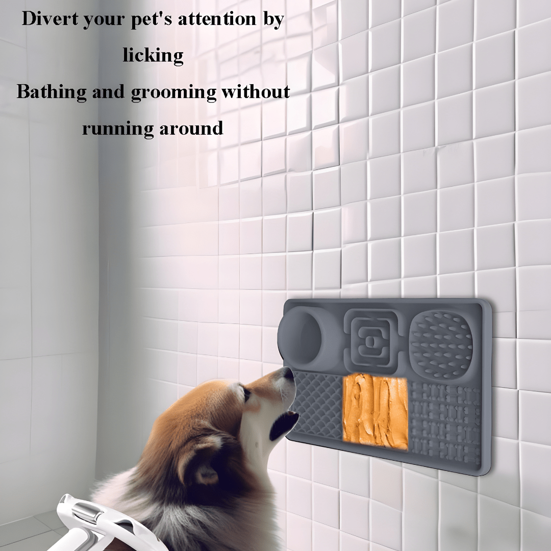 6-in-1 Silicone Slow Feeder & Lick Mat with Bowl for Dogs & Cats