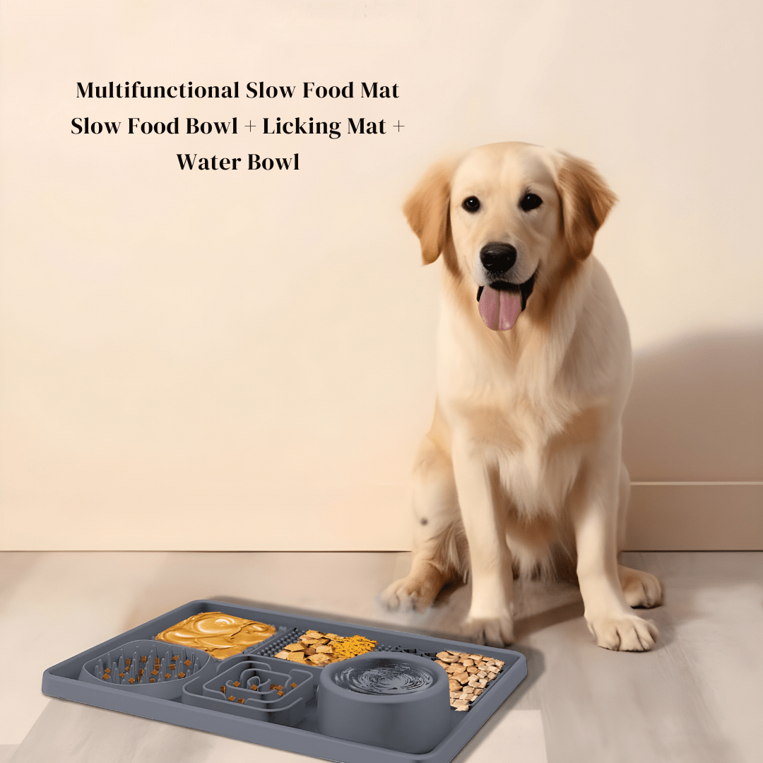 6-in-1 Silicone Slow Feeder & Lick Mat with Bowl for Dogs & Cats