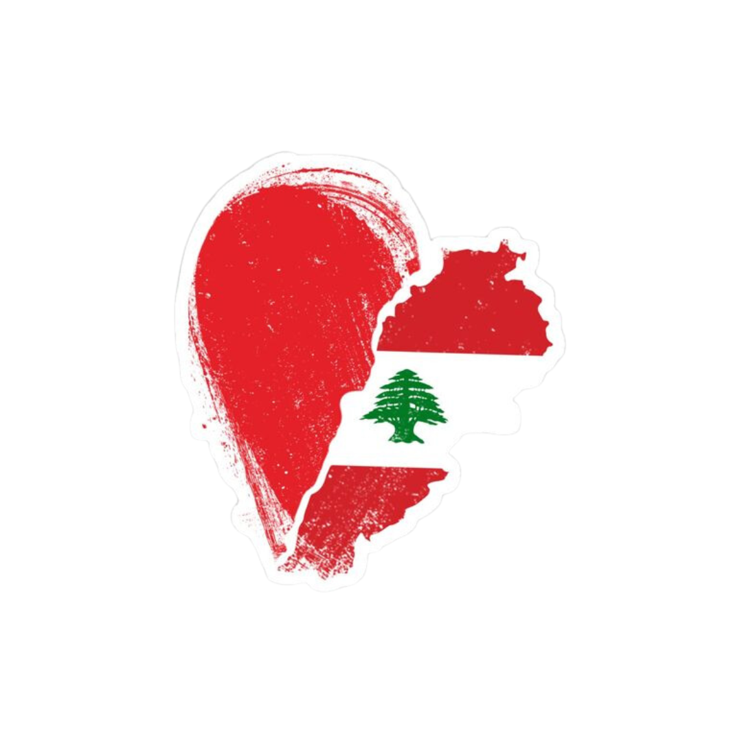 Lebanon Relief Aid Donation Voucher - Medaid International