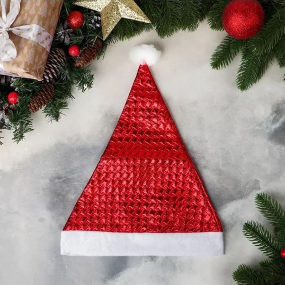 Santa Claus Hat
