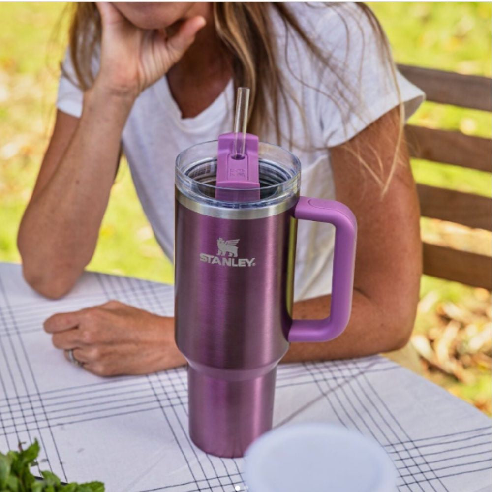 Stanley With Handle And Straw