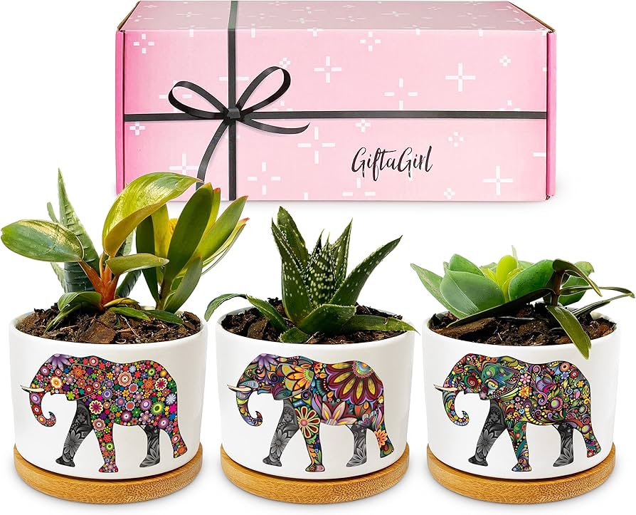 Elephant Planter Pots (Set of 3 Pcs)