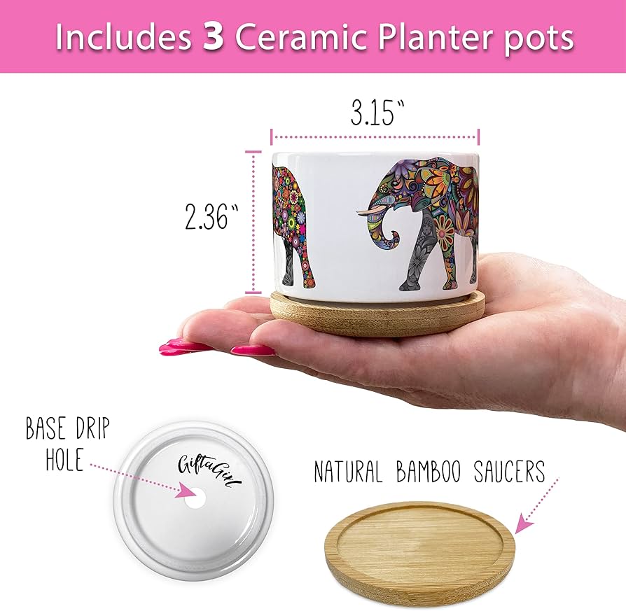 Elephant Planter Pots (Set of 3 Pcs)