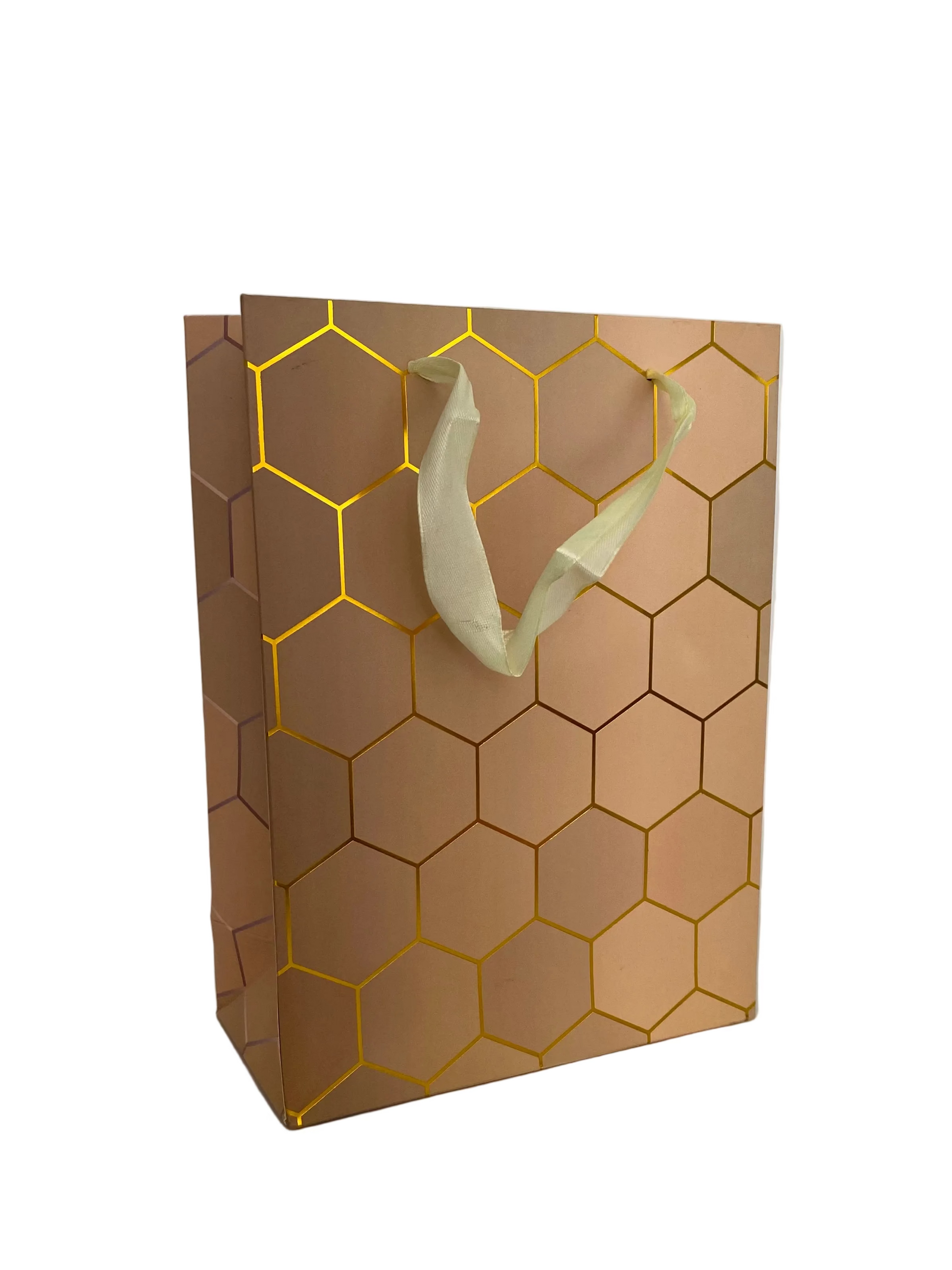 18x24x8.5 Cm Gift Bag