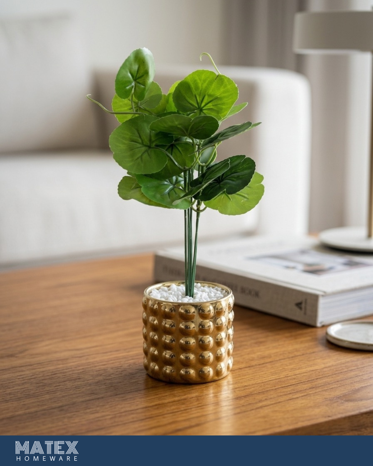 Lycka Green Flower plant Gold Pot