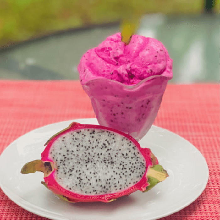 Silver Crest™ 100% Fresh Fruit Ice Cream Maker - Medaid International