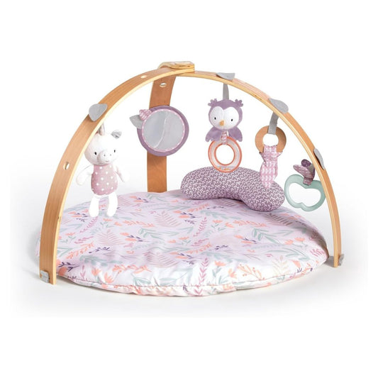 Ingenuity Cozy Spot Activity Gym – Calla (Pink)