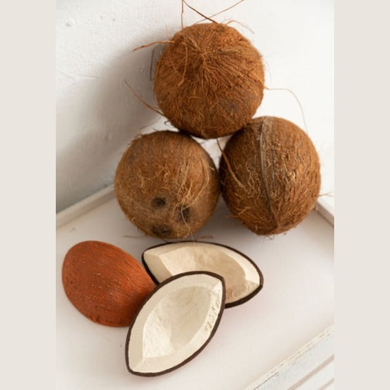 Coco the Coconut Teether
