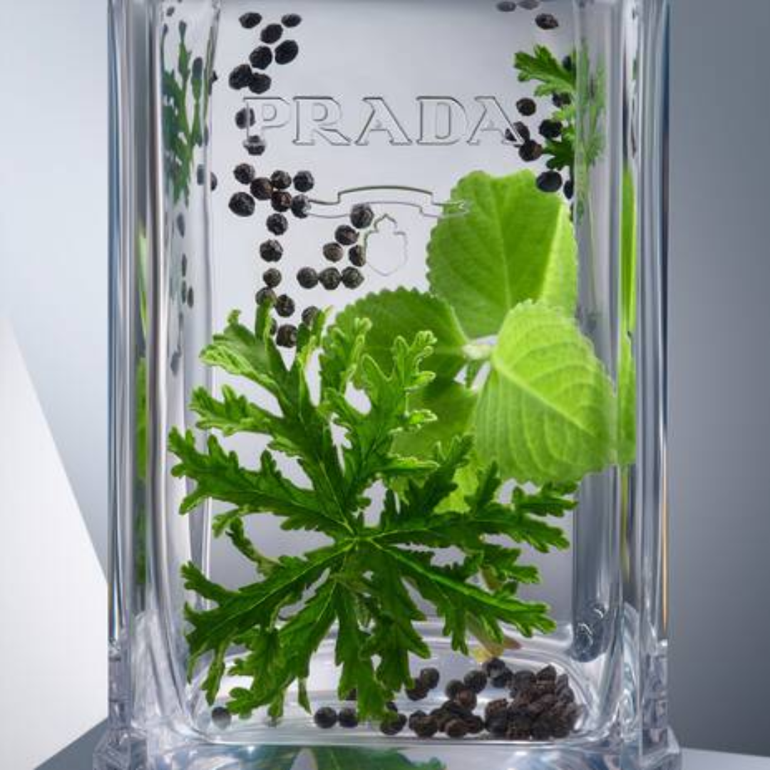 Prada L'Homme Eau de Toilette for Men - Medaid International