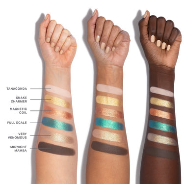 MORPHE ChromaPlus 6-Pan Eyeshadow Palette-Python Code