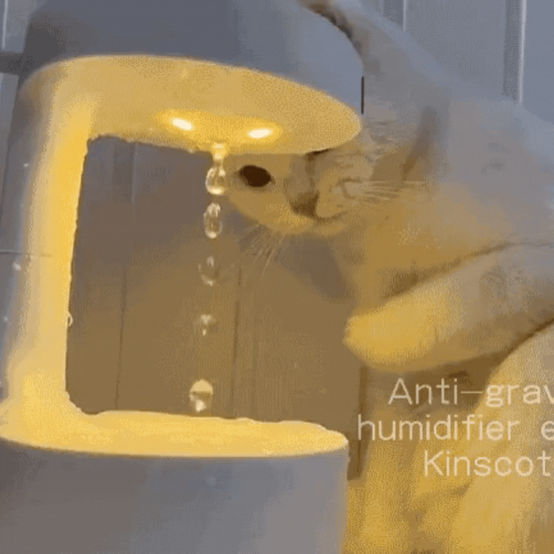Anti-Gravity Rain Drop Humidifier - Medaid International