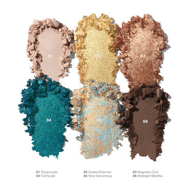 MORPHE ChromaPlus 6-Pan Eyeshadow Palette-Python Code