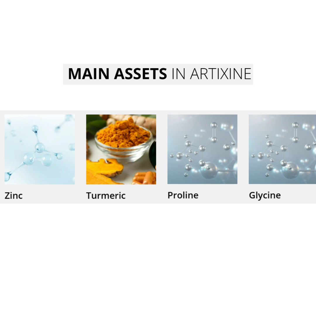 NHCO Artixine Joint Comfort Dietary Supplement Capsules
