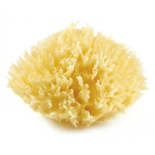 Thermobaby - Honeycomb Mediterranean - Natural Sponge - Bath Time