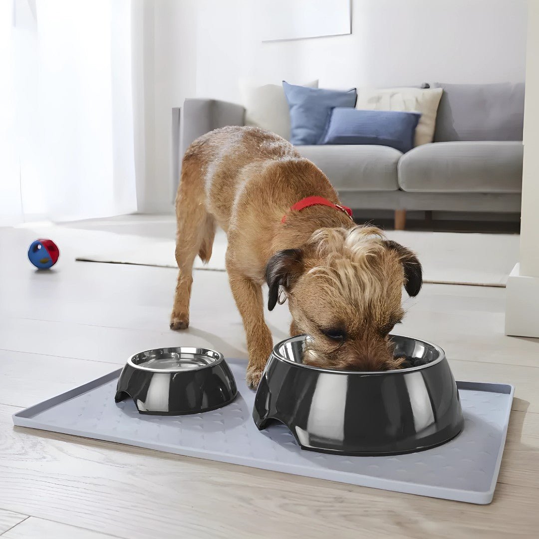 700ml Large Food & Water Bowl for Dogs – Stainless Steel, Non-Slip, Easy Clean