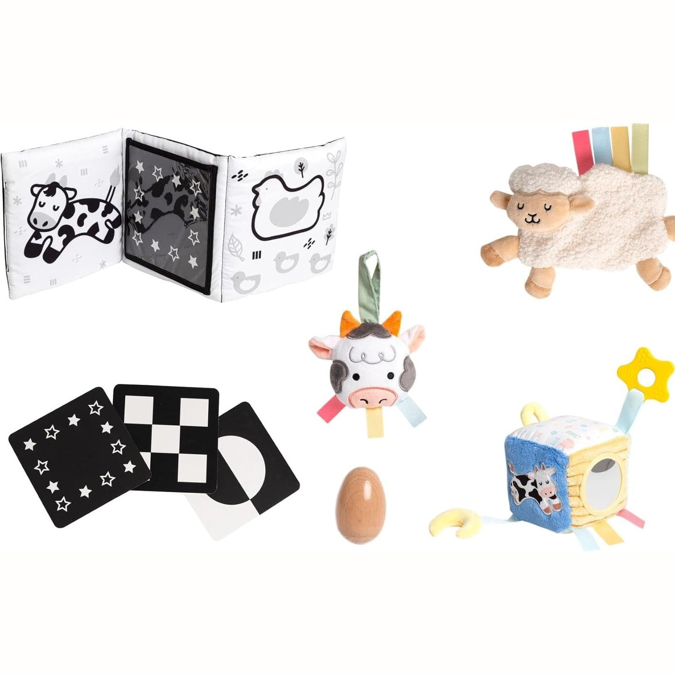 Learning Kit for Babies 0-6 M
