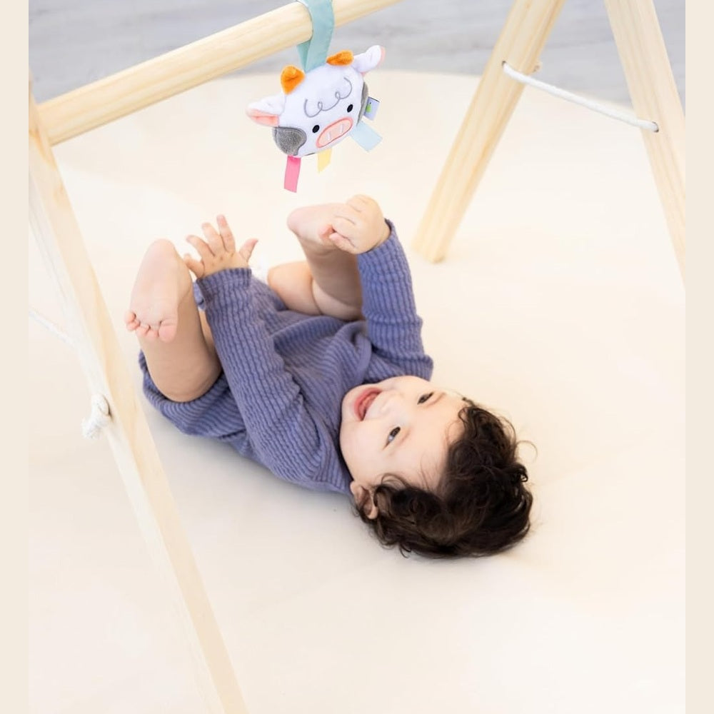 Learning Kit for Babies 0-6 M